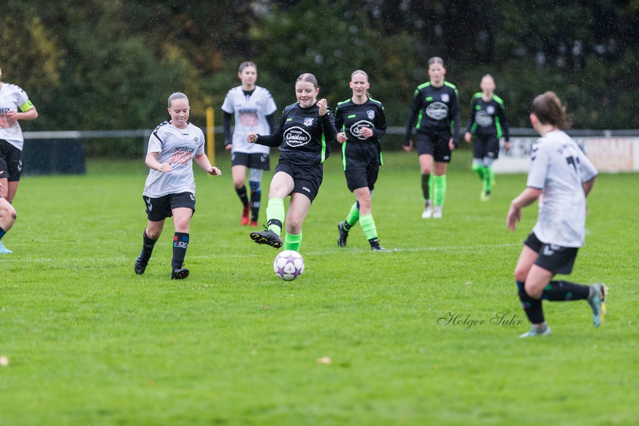 Bild 170 - wBJ SV Henstedt Ulzburg - FSG Oldendorf Itzehoe : Ergebnis: 1:5